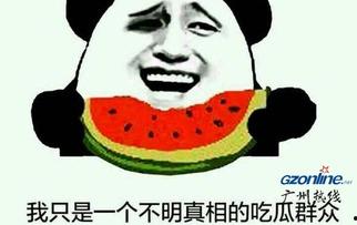 吃瓜群众的解释,网络时代的围观力量